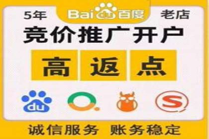 百度推广运营成功故事：品牌与效果的双重胜利
